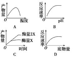 圆度仪测量结果图及其分析