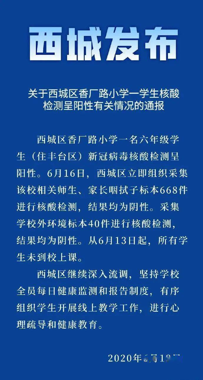 橡胶与农业，一种复杂而多维的关系探讨