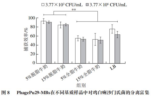 锰粉的成分及其特性分析