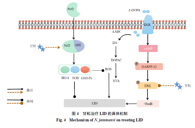 光纤束腰