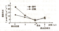 橡胶材料的缺点是什么